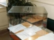 Венецианската комисия остави Изборния кодекс под въпрос