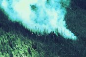 Пожарът на Витоша още гори, държавата няма ресурс да се справи