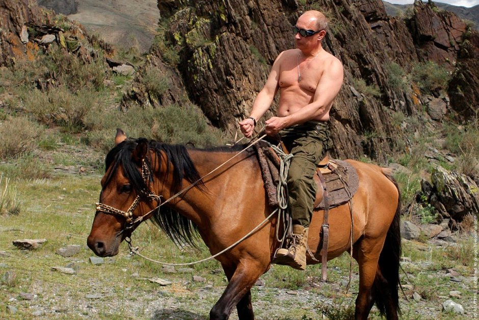 Путин е сниман гол до кръста на редица PR фотографии. 