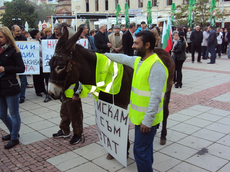 Епизодът с магарето по време на протеста в Дупница. Сн. БГНЕС