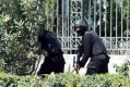 Терористи разстреляха 19 души в музей в Тунис преди да бъдат убити