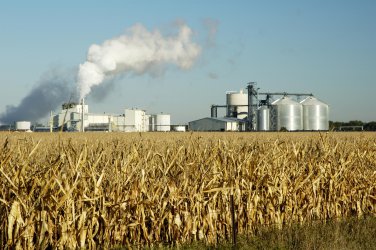 България не прави нищо за внедряване на биогоривата