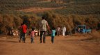 Над 290 имигранти са били задържани край българо-турската граница