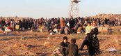 Задава се нова бежанска вълна от Алепо заради офанзивата на Асад и Русия
