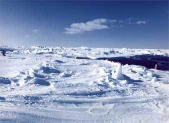 Одобрена е програмата за полярни изследвания до 2021 г.