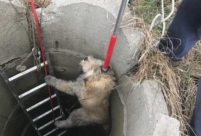 "Екоравновесие" спаси паднало в шахта куче