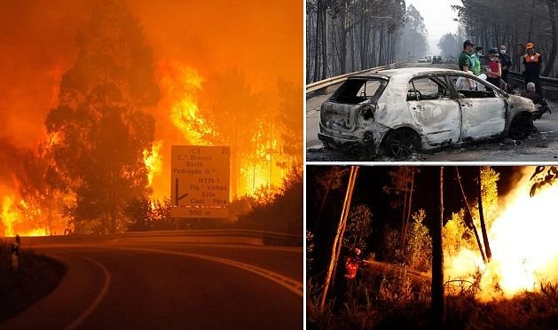 62 жертви на огнено "торнадо" в Португалия