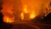 Португалия очаква чуждестранна помощ заради смъртоносните  горски пожари