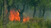 Евакуирани са 1500 души заради пожар в Испания
