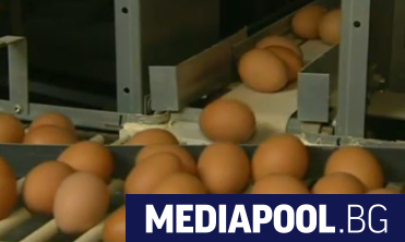 Иззетите заразени с фипронил яйца вече са около един милион