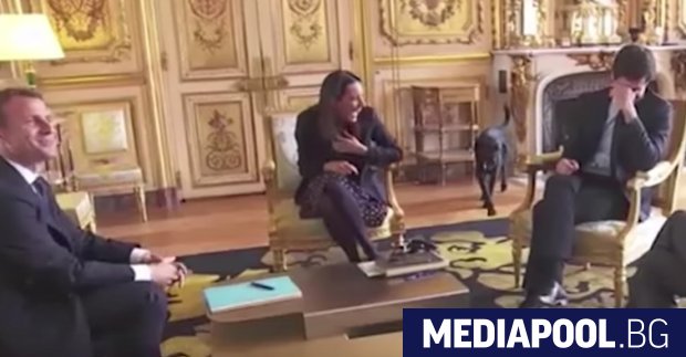 Кучето на френския президент Еманюел Макрон предизвика смях по време
