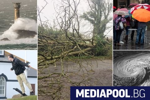Тропическата буря Офелия връхлетя южното крайбрежие на Ирландия повали дървета