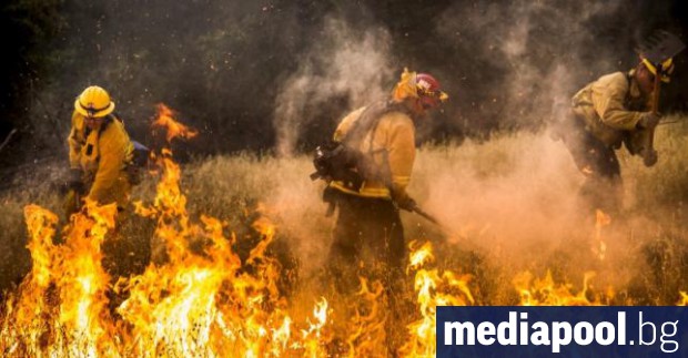 Най-малко 17 са вече жертвите на пожарите в Северна Калифорния