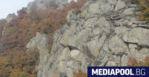 Коалицията За да остане природа в България укори екоминистъра Нено
