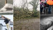 Бурята Офелия връхлетя Ирландия, повалени са дървета и електропроводи