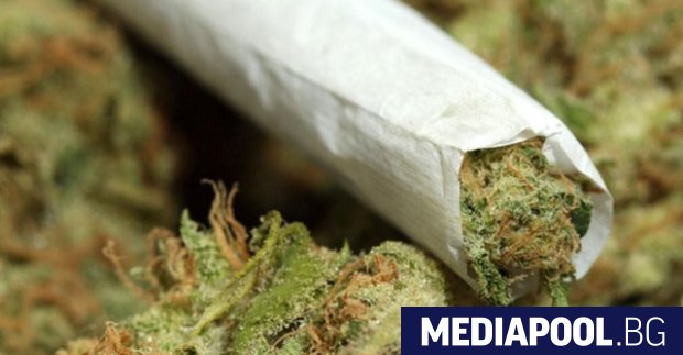 Полското правителство легализира използването на марихуана за медицински цели, като