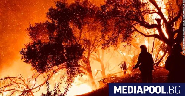 Пожарите бушуващи в американския щат Калифорния обхванаха площ от 230