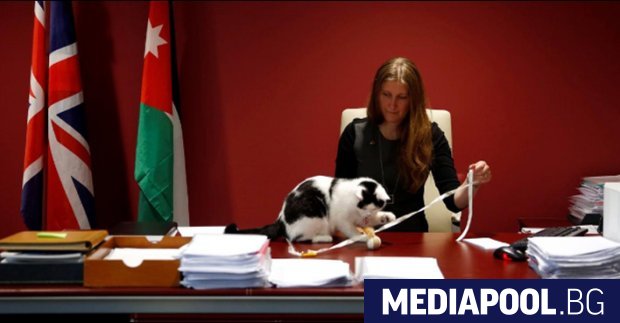 През 2017 г централно място в медийното пространство заемаха Доналд