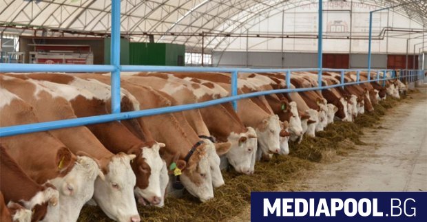 Правителството ще се опита да навакса забавеното усвояване на европейските