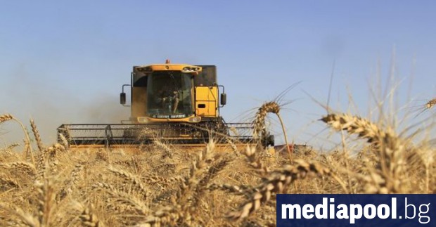 Новопубликуваният анализ на Института за пазарна икономика ИПИ на икономическите