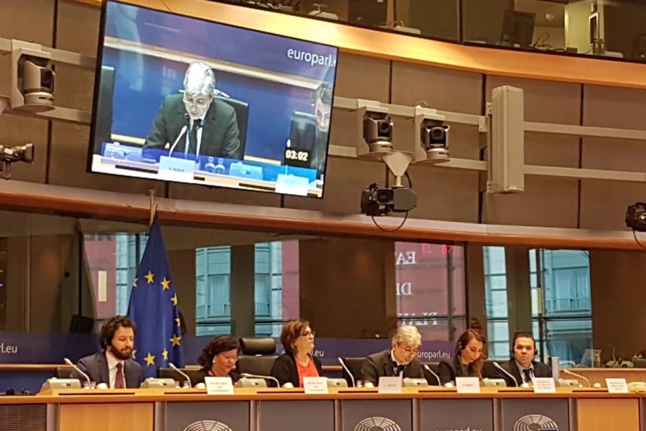 Нено Димов при изслушването му пред екокомисията на Европарламента