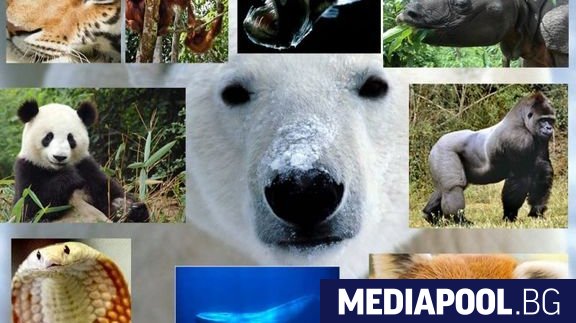 Близо половината растителни и животински видове в места естествено богати