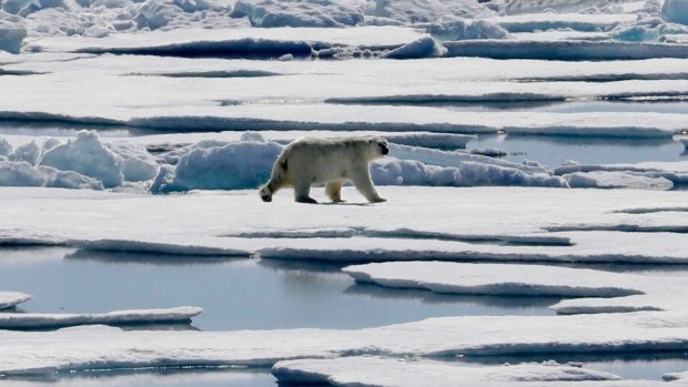 Климатолози отчетоха рекордно топла зима в Арктика