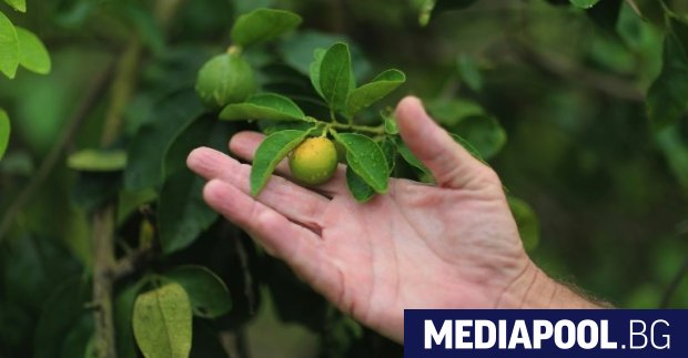 Възможно ли е скоро бъдем принудени да минаваме без чаша