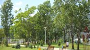 Столична община ще засади 2500 дървета тази есен