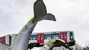 Влак увисна на опашка на кит: съвременна скулптура спаси човек в Нидерландия