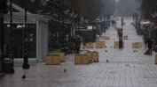 Паднали дървета в София заради силния вятър. Жълт код в още градове