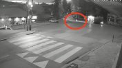 Мечка препуска по улиците на Владая (видео)