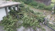 Пет жертви в Западните Балкани след мощни летни бури