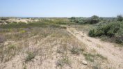 Екоминистърът предлага фонд за изкупуване на земя с дюни и паркове