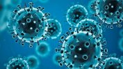 СЗО и САЩ наблюдават нов вариант на коронавируса