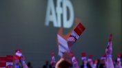 Подкрепата за "Алтернатива за Германия" спада