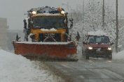 снегорин