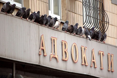 адвокати