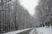 Витоша, път, пътища, сняг, туристи, зима, коли