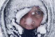 Студ, арктически САЩ Уискънсин Среден Запад
