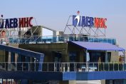 Лев инс