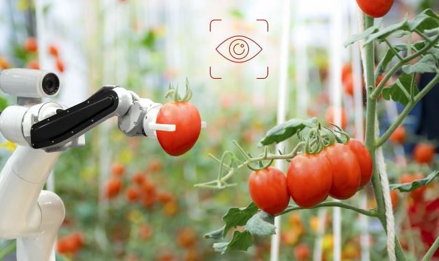 роботи в работата ИТ техтологии