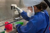 коронавирус микробиология изследване лаборатория
