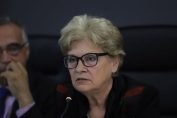 Виолета Комитова, Антон Кутев
