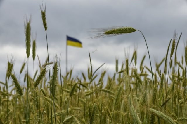 Украйна война зърно пшеница ечемик