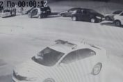 катастрофа, Дружба, полицай
