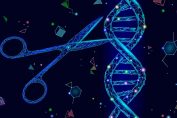 генно редактиране, CRISPR-Cas9