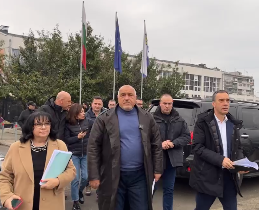 Борисов, Теменужка, Николов
