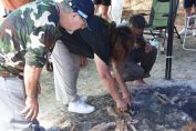 могилата на тракийски воин край село Капитан Петко Войвоса, община Тополовград