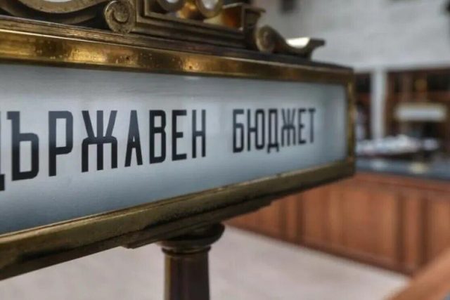 държавен бюджет